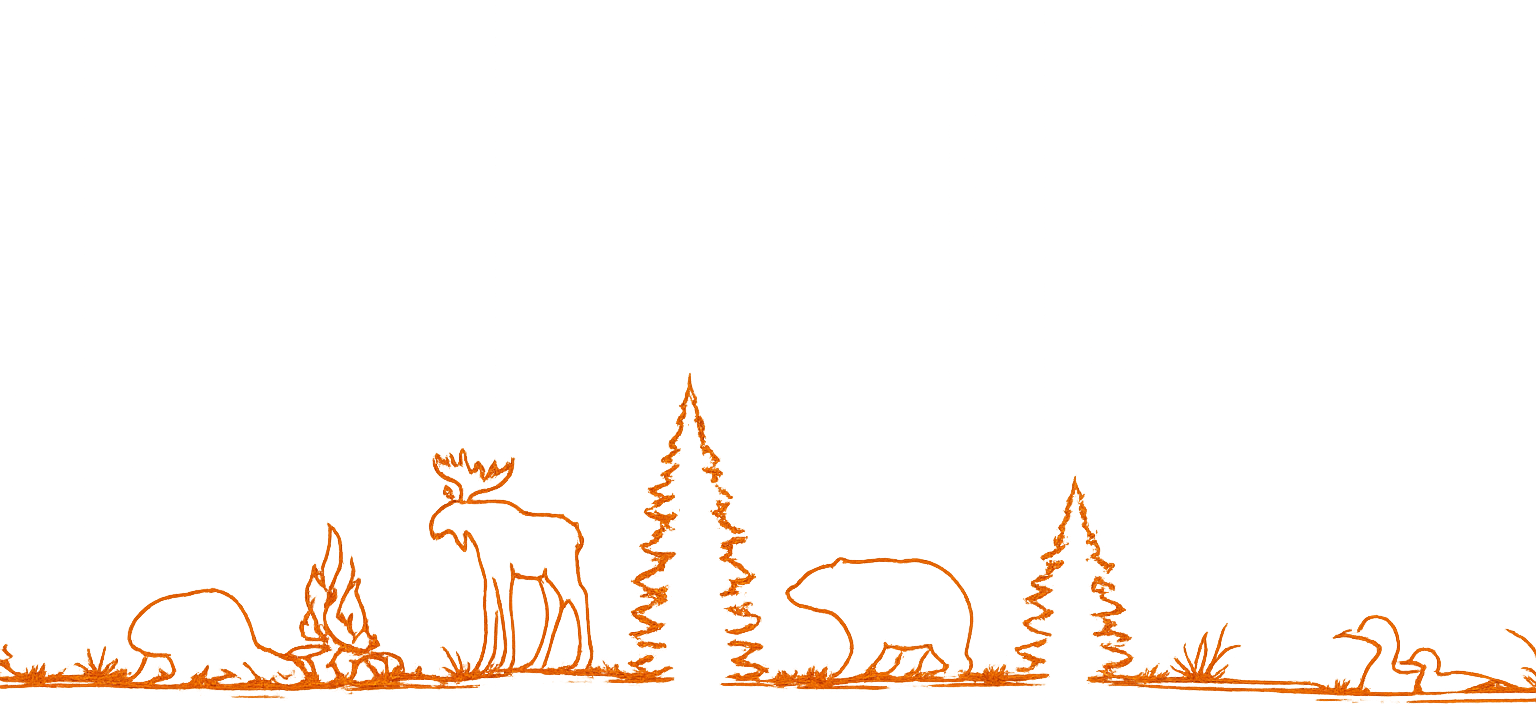 Simple line drawing of animals and trees on a white background