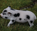 Load image into Gallery viewer, Baby Spotted Pig Statue - Muskoka Fire Pits
