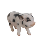 Load image into Gallery viewer, Baby Spotted Pig Statue - Muskoka Fire Pits
