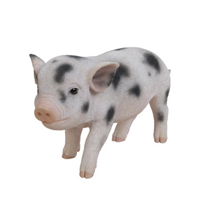 Baby Spotted Pig Statue - Muskoka Fire Pits