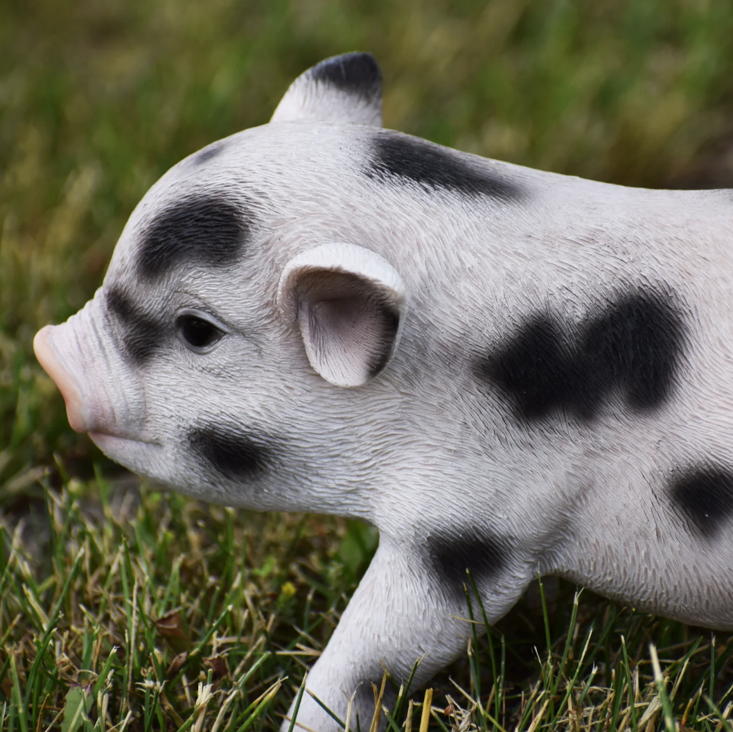 Baby Spotted Pig Statue - Muskoka Fire Pits