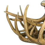 Load image into Gallery viewer, Whitetail Deer 10 Antler Chandelier with Downlights - Muskoka Fire Pits
