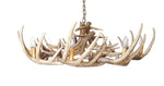 Load image into Gallery viewer, Whitetail Deer 15 Wide Antler Chandelier
